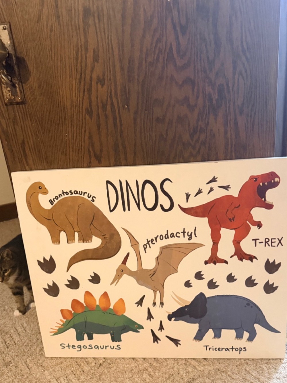 Children’s Picture